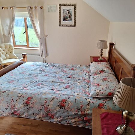 The Attic Apartment Kilkenny Bagian luar foto